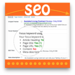 WP SEO Premium Plugin by Yoast