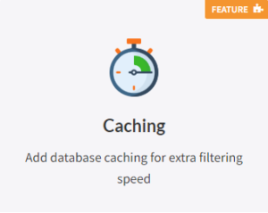 FacetWP Cache