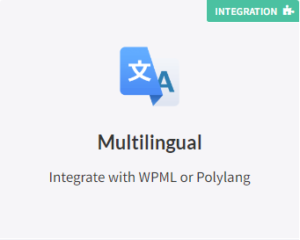 FacetWP Multilingual support