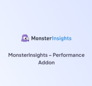 MonsterInsights Performance